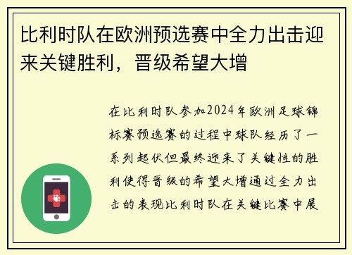 比利时队在欧洲预选赛中全力出击迎来关键胜利，晋级希望大增