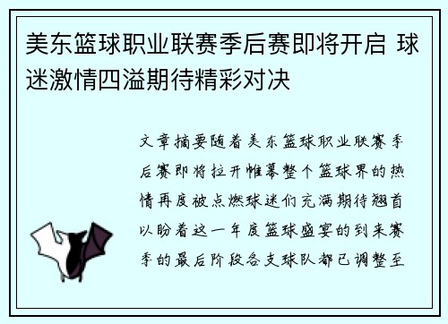 美东篮球职业联赛季后赛即将开启 球迷激情四溢期待精彩对决